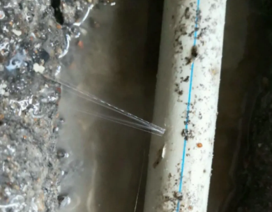 茌平测漏水哪家好