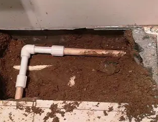 茌平测漏水哪家好