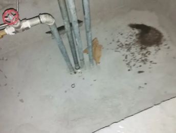 茌平卫生间测漏水价格明细